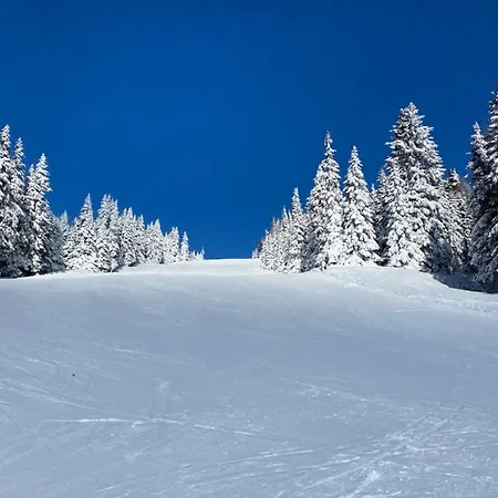 Mankerl Huette * Lachtal