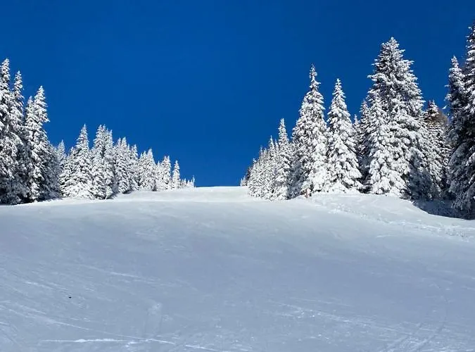 Mankerl Huette * Lachtal